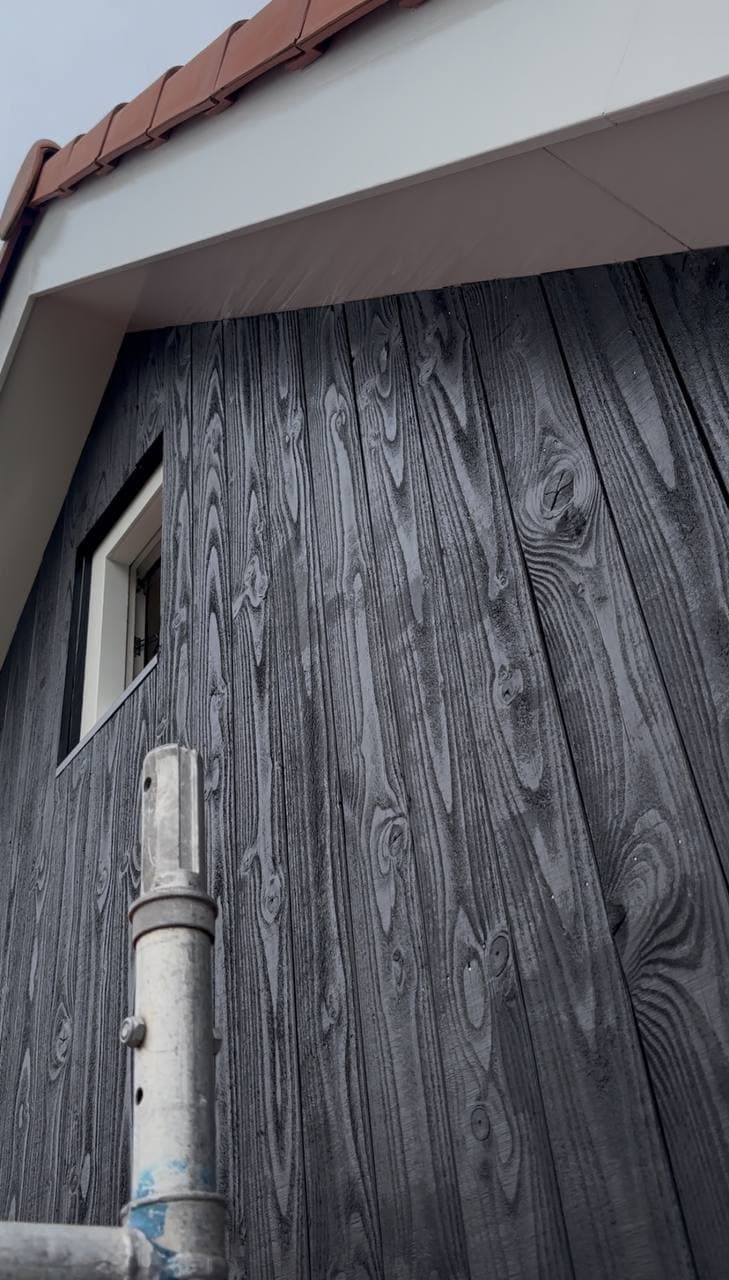 Waarom gaat hout rotten? De belangrijkste oorzaken van houtrot